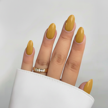 Load image into Gallery viewer, Honeyed Amber Dip Powder