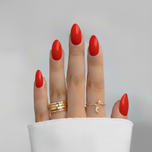 Load image into Gallery viewer, Rosy Delight Dip Powder