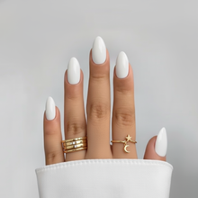 Load image into Gallery viewer, Winter Frost Dip Powder